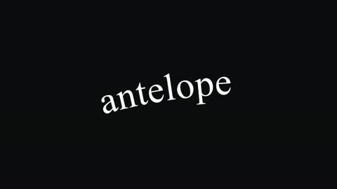 Antelope — After Effects paths preset preview