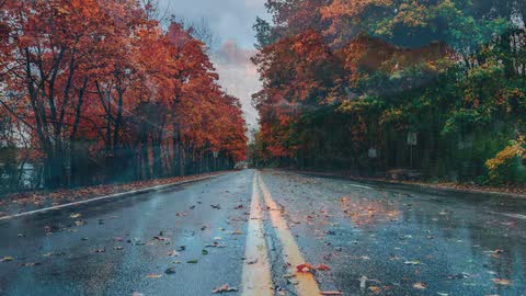 Dither Dissolve — Premiere Pro video transition preview