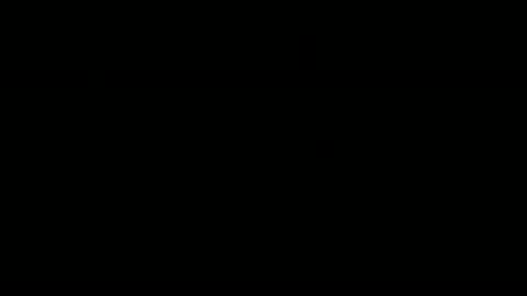 Spring Motion — Premiere Pro video transition preview